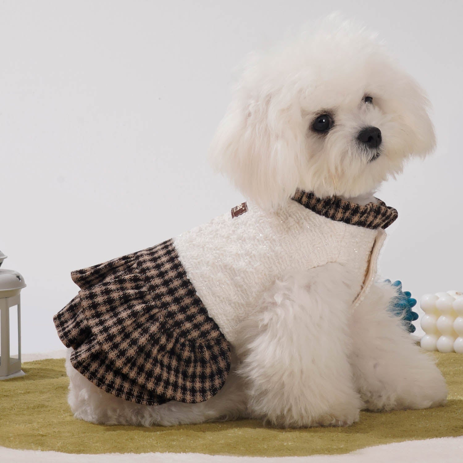 How to Keep Your Pet Comfortable in Every Season