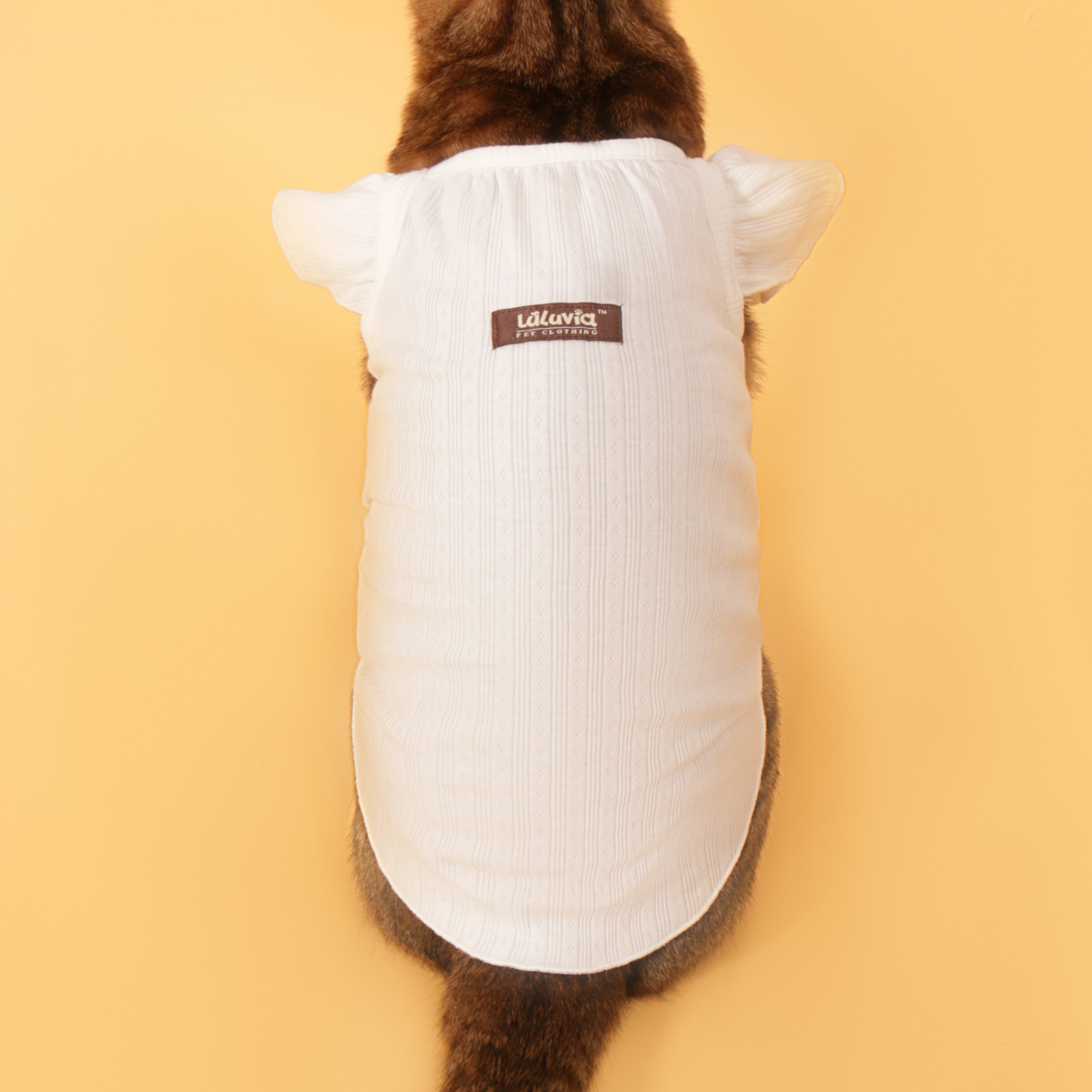 Floral-Sleeve Cat Dress