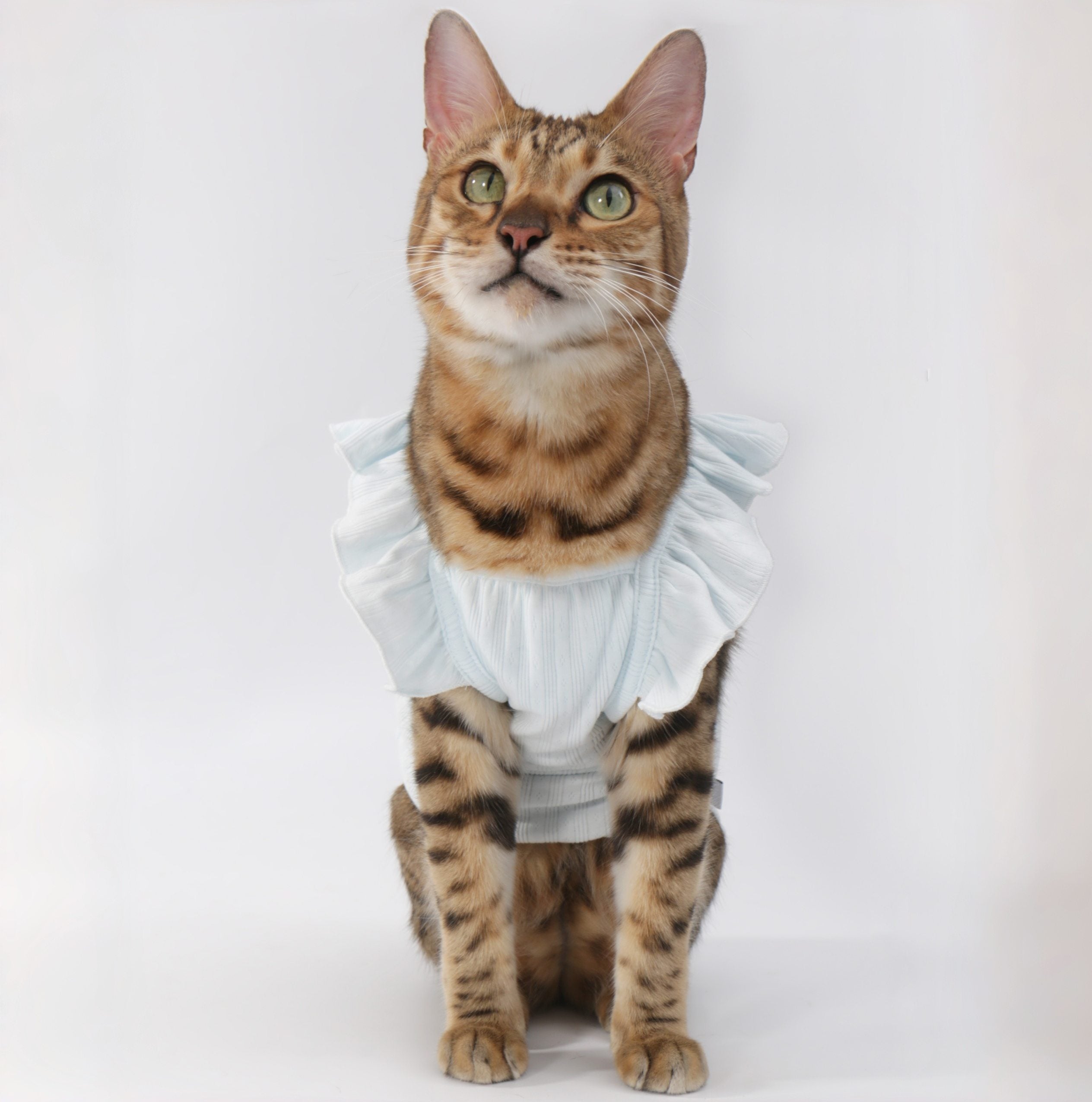 Floral-Sleeve Cat Dress