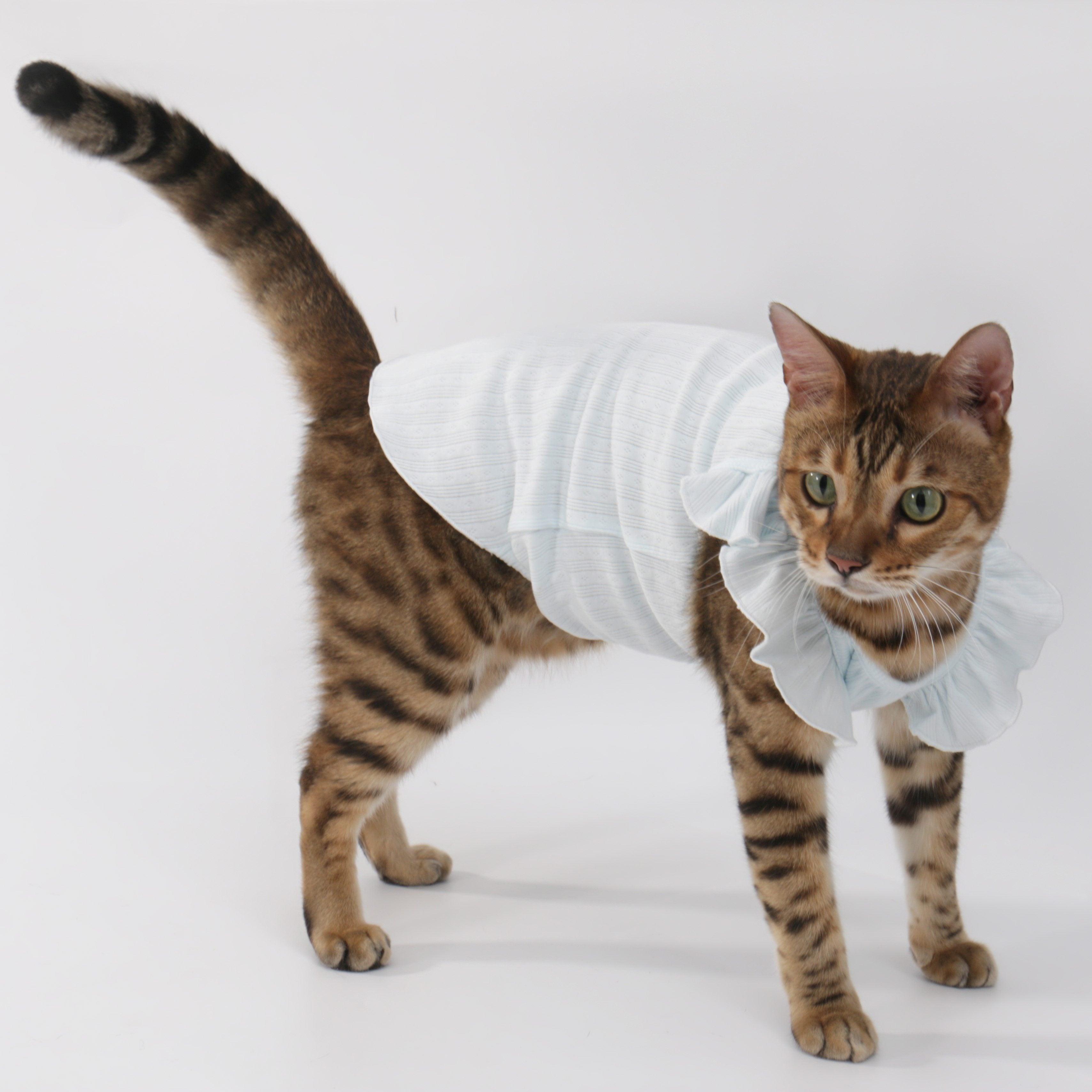 Floral-Sleeve Cat Dress