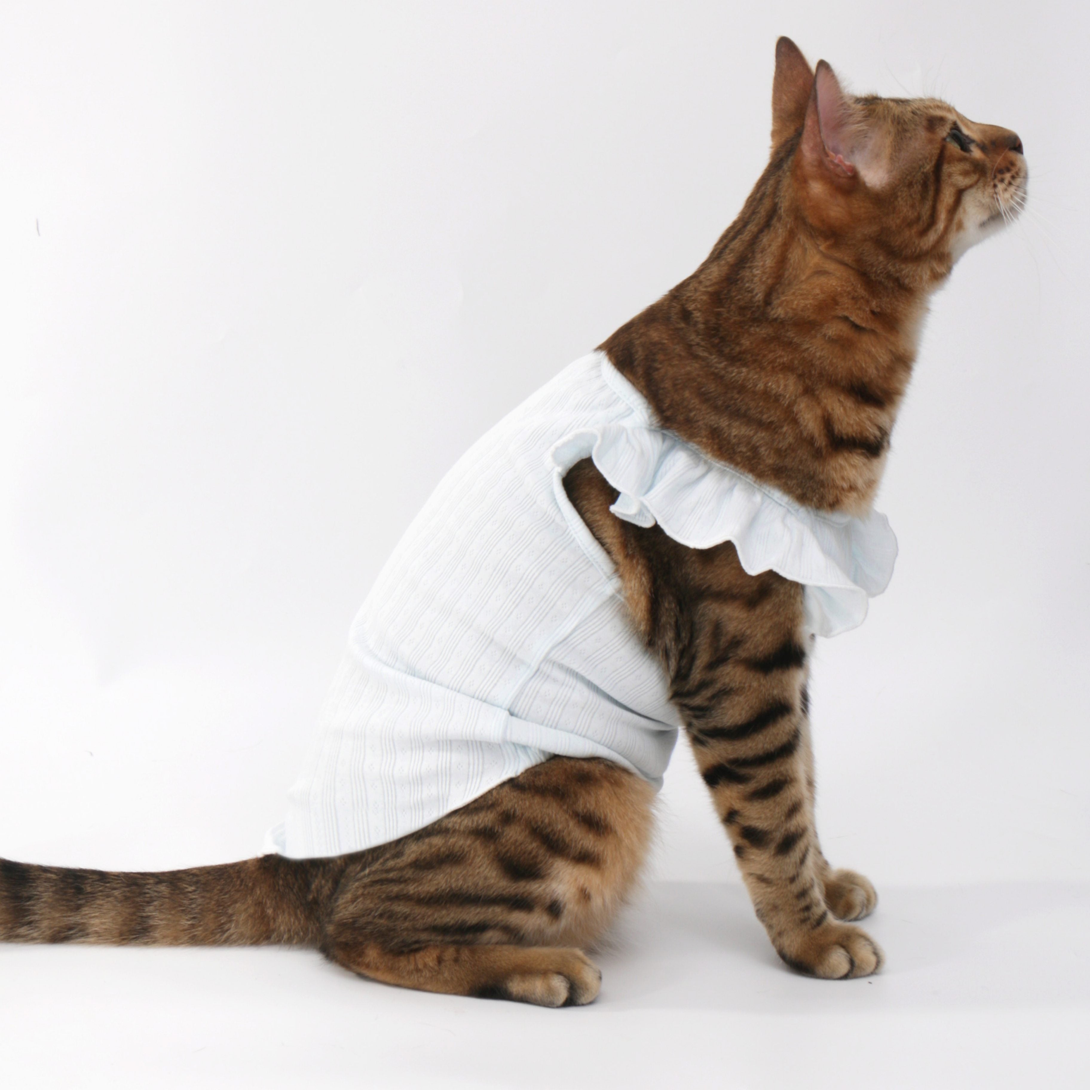 Floral-Sleeve Cat Dress