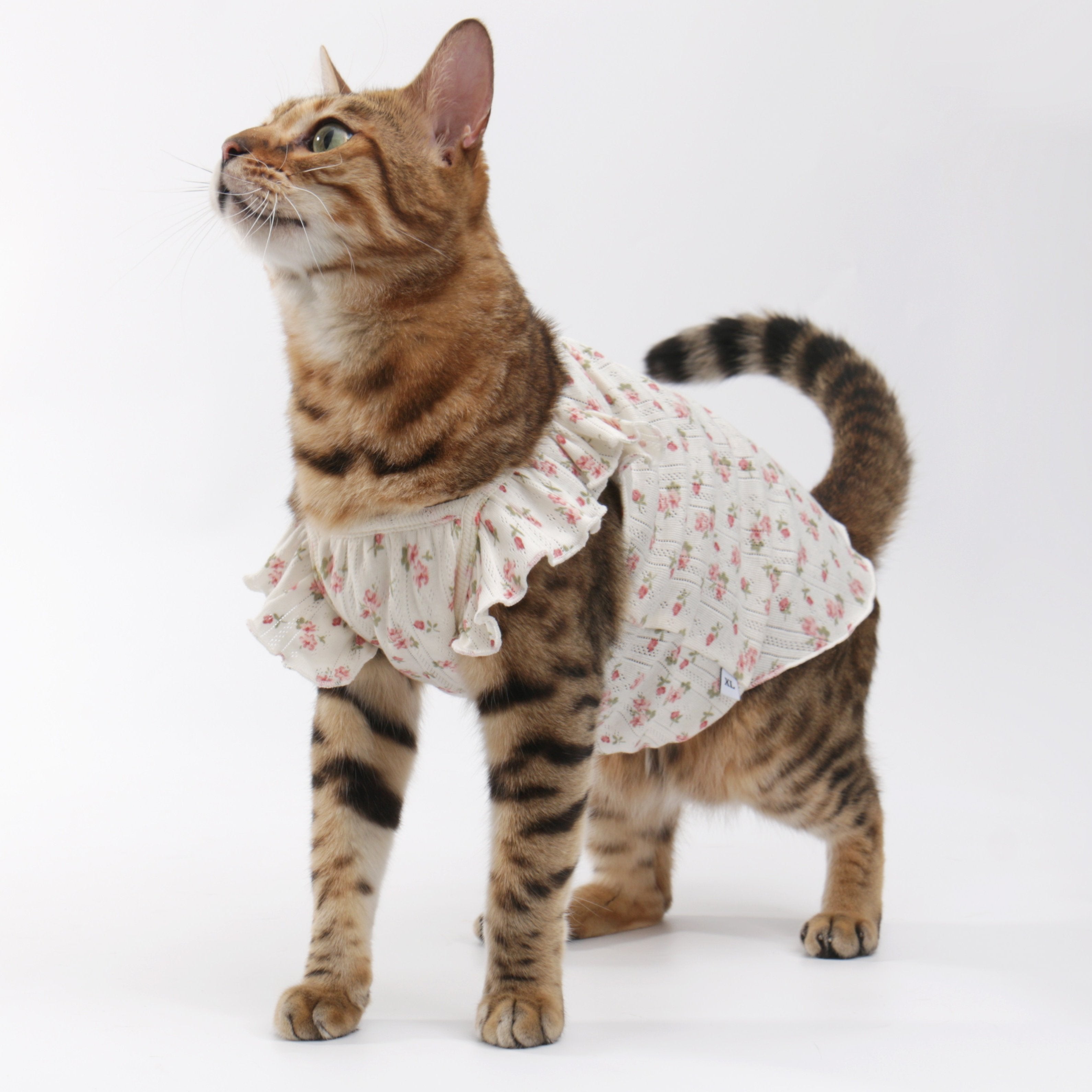 Flower Floral-Sleeve Cat Dress