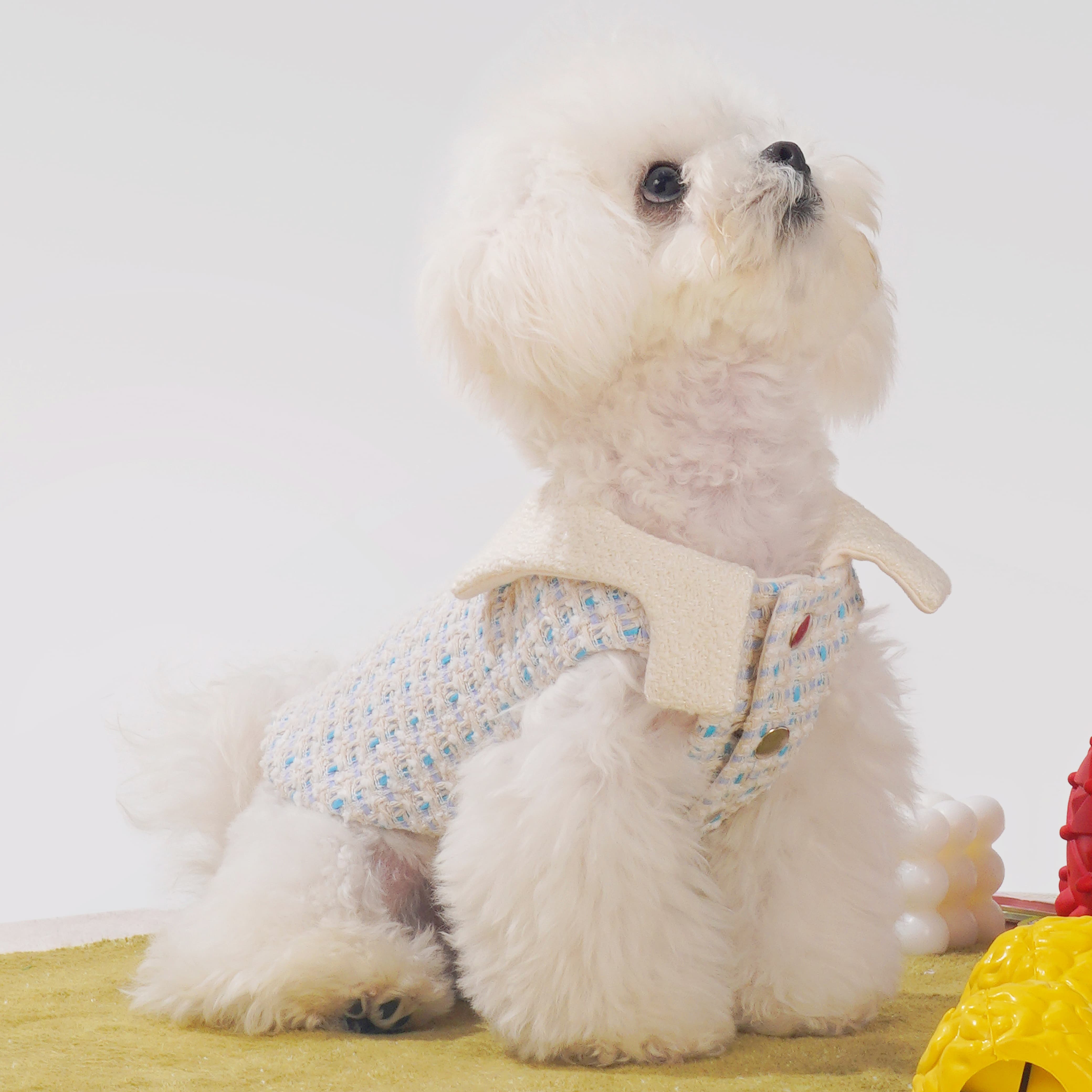 Creme Chantilly Dog Coat