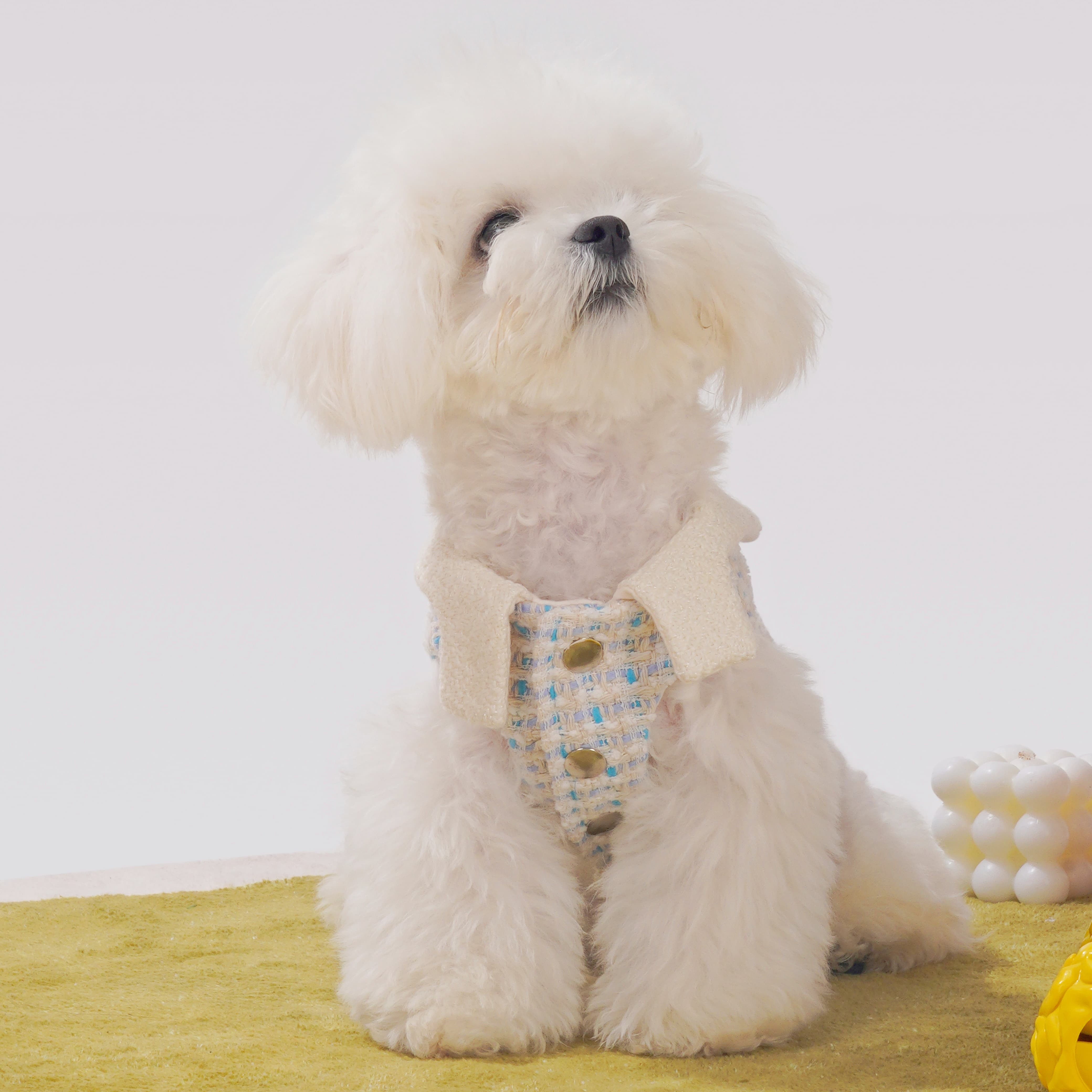 Creme Chantilly Dog Coat