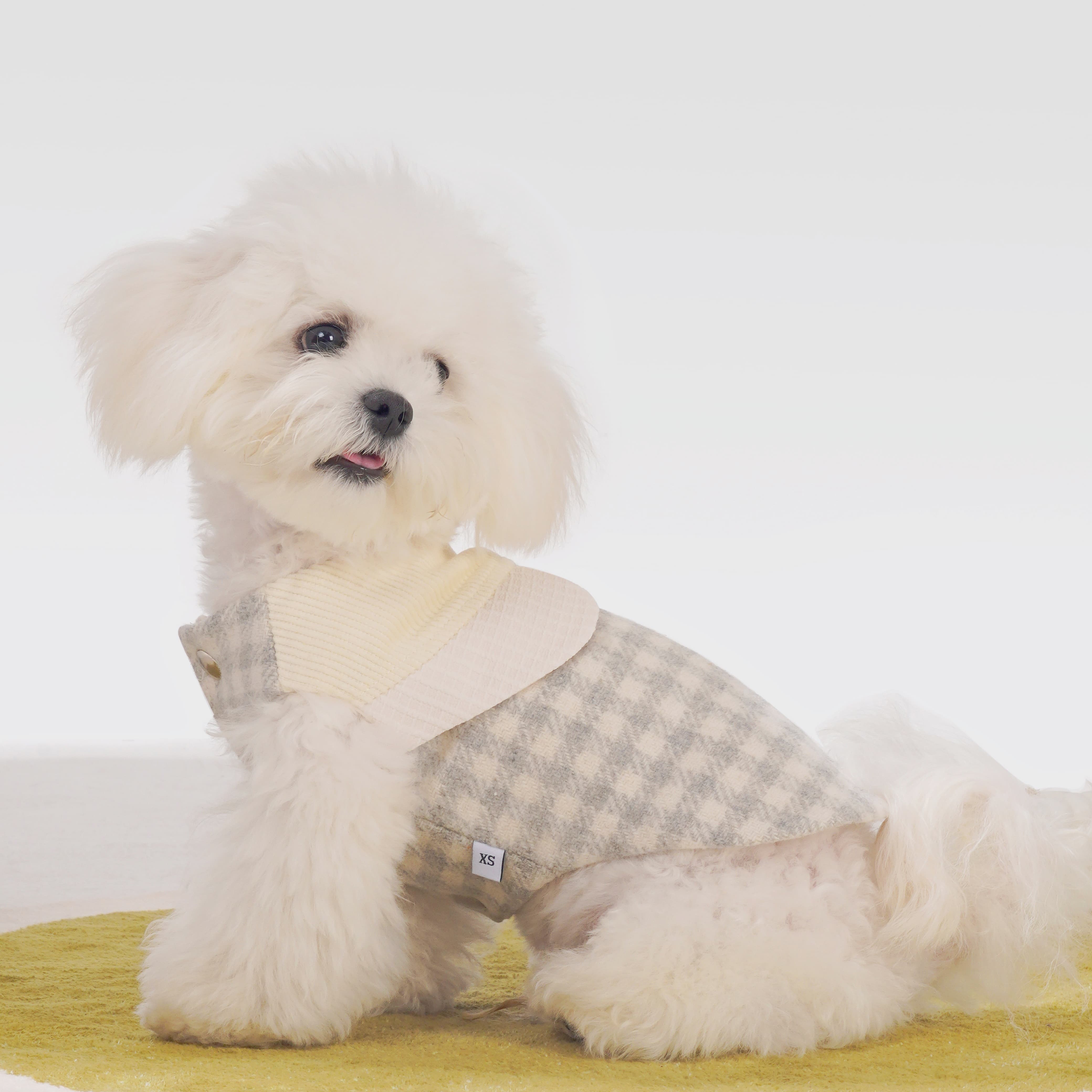 Tulle Casecade Dog Coat