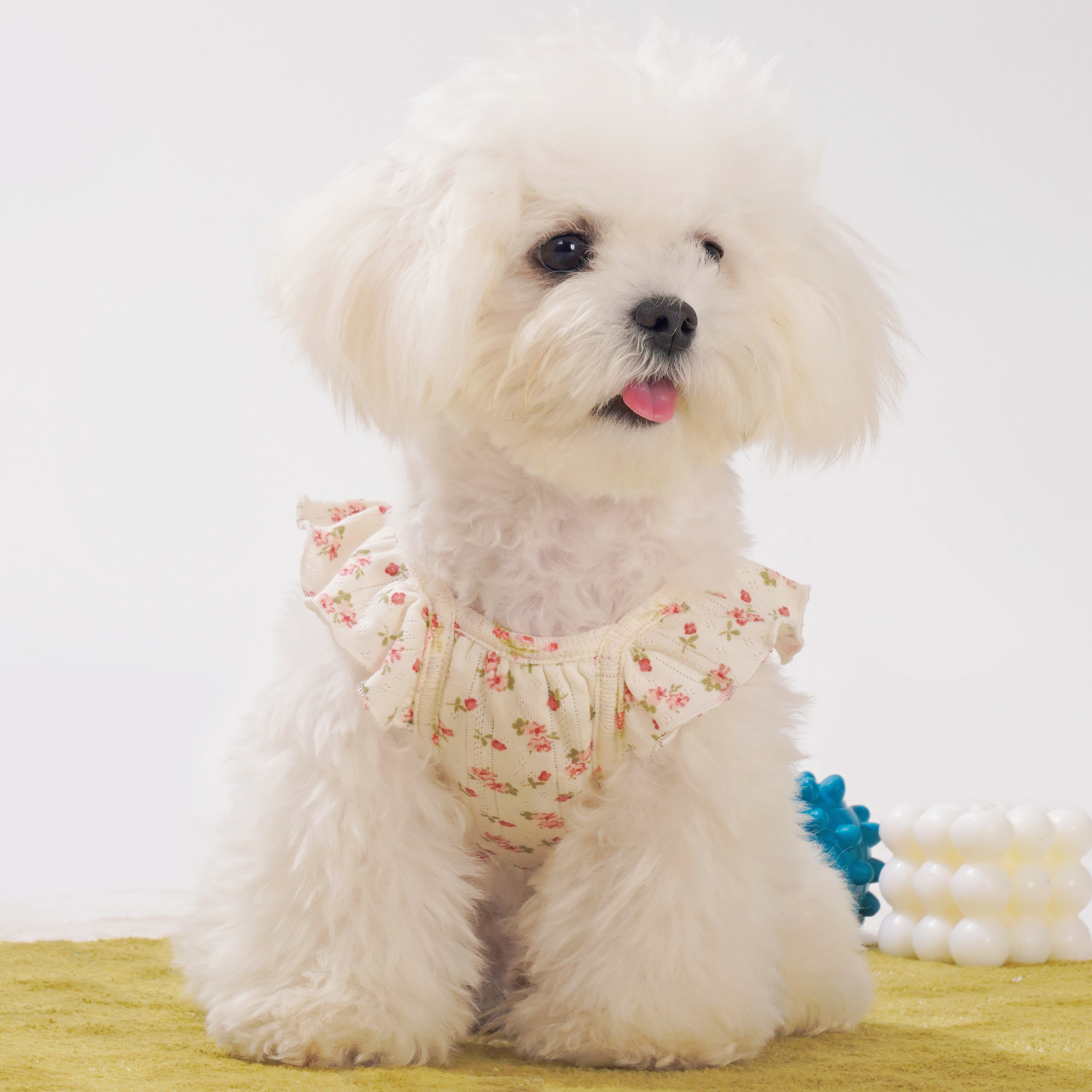 Flower Floral-Sleeve Dog Dress