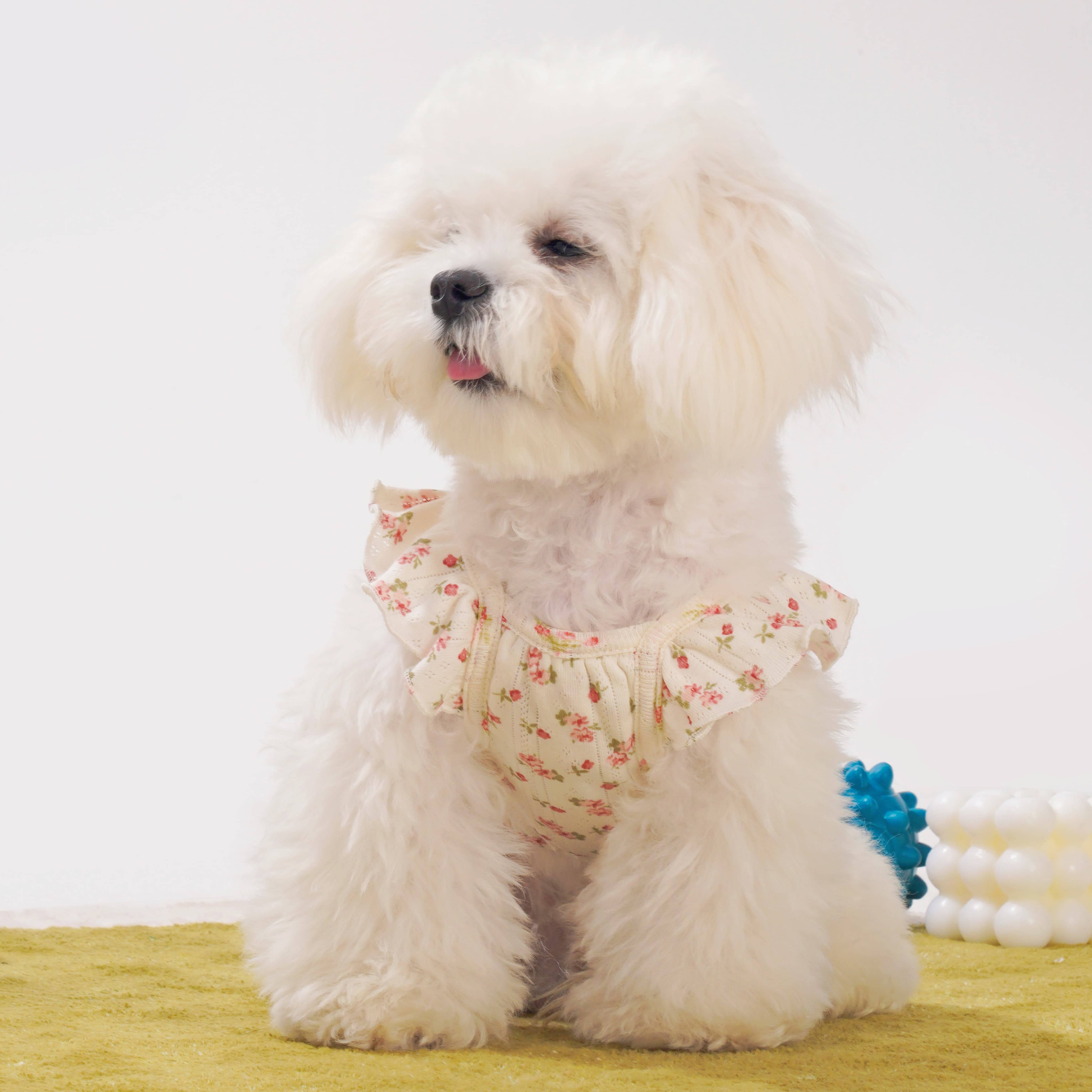 Flower Floral-Sleeve Dog Dress