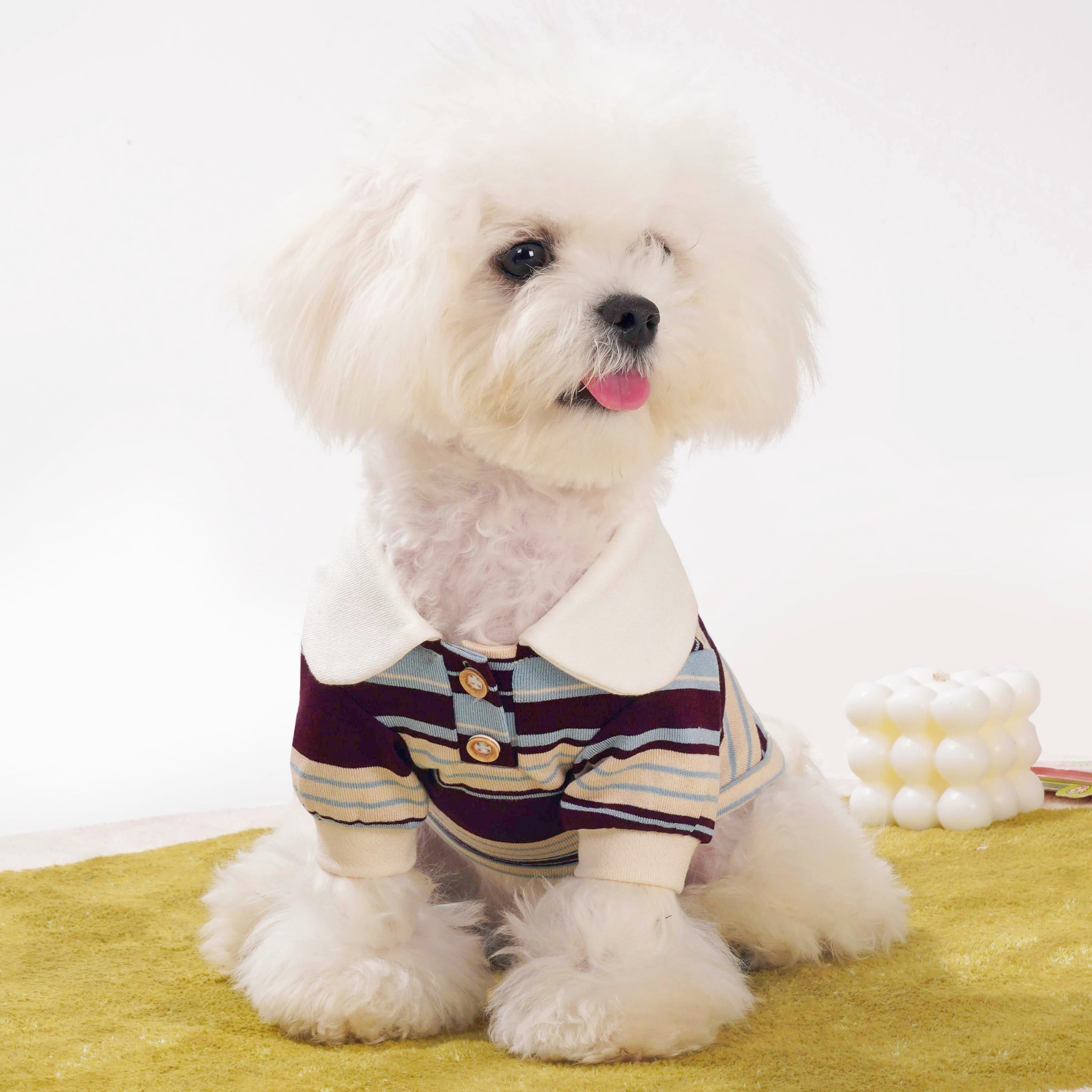 Muse Velvet Dog Polo Shirt