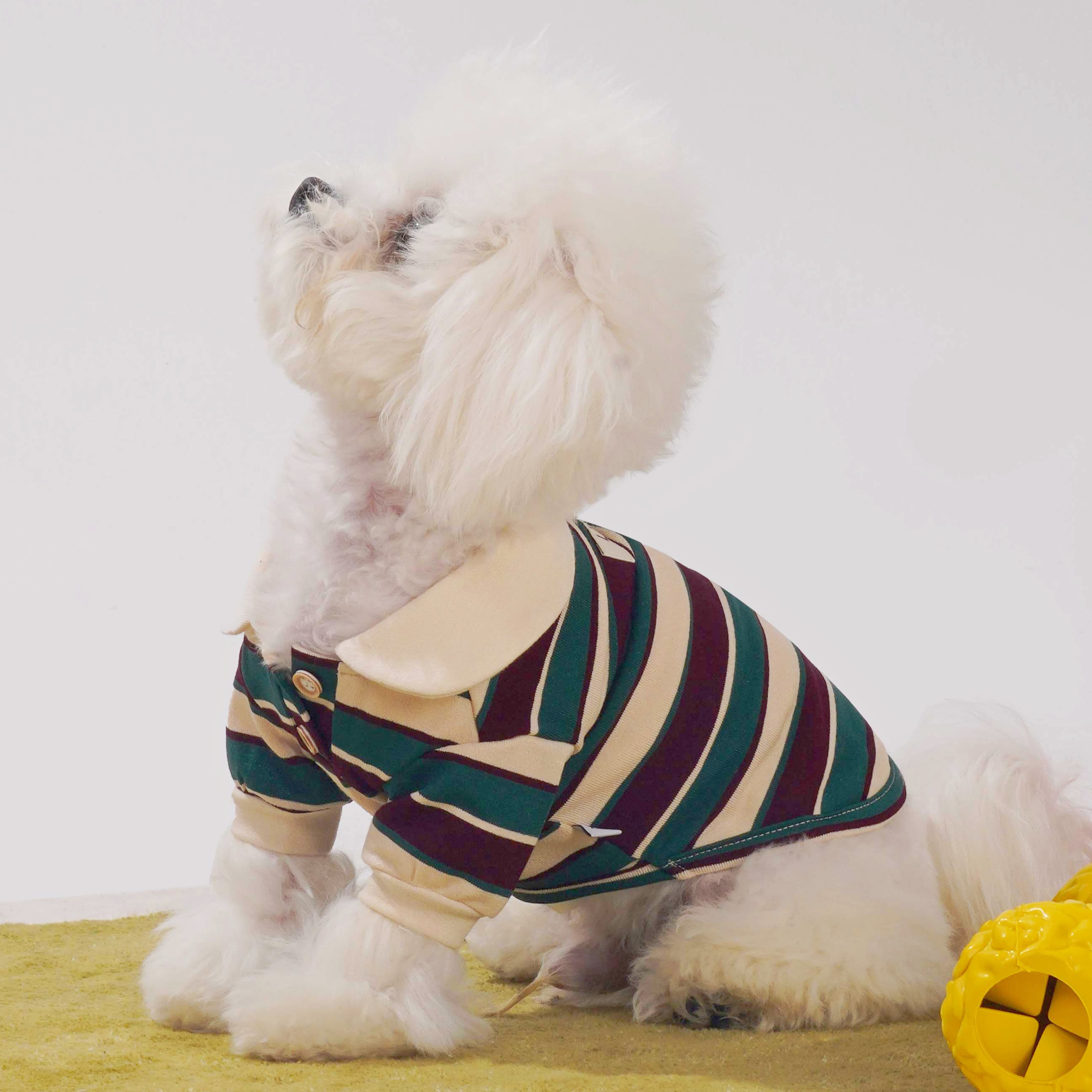 Muse Velvet Dog Polo Shirt (Green)