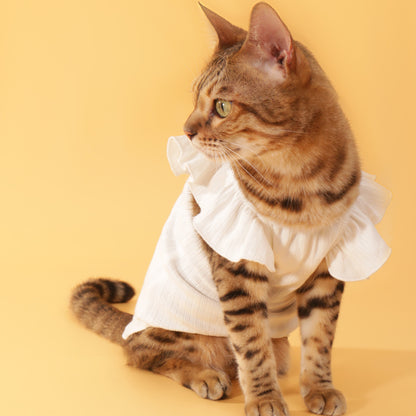 Floral-Sleeve Cat Dress