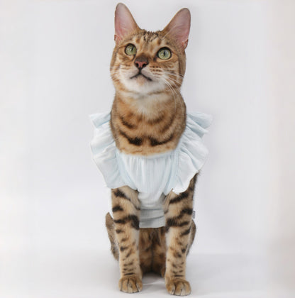 Floral-Sleeve Cat Dress