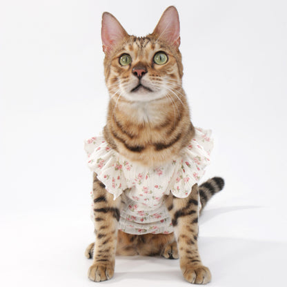 Flower Floral-Sleeve Cat Dress
