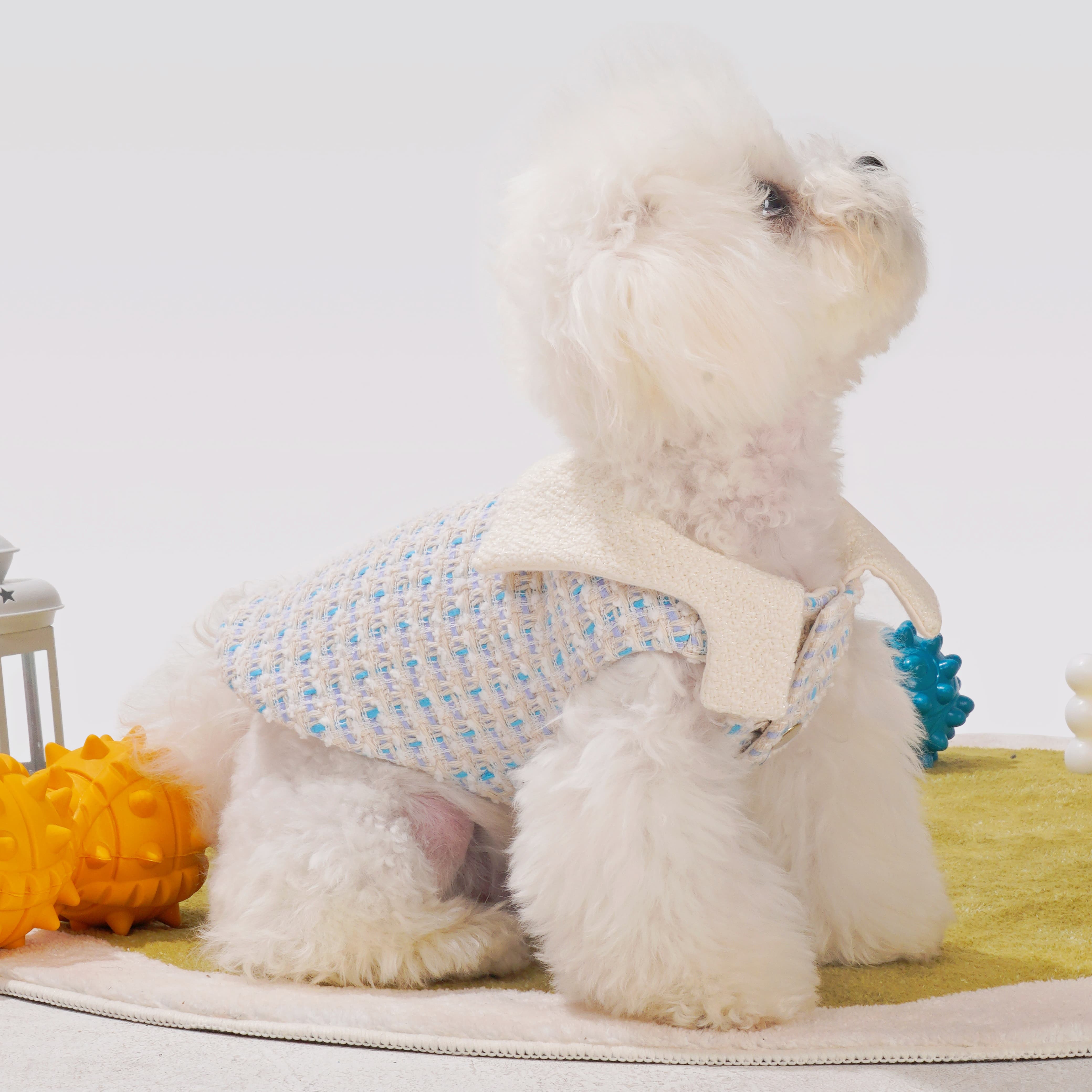 Creme Chantilly Dog Coat