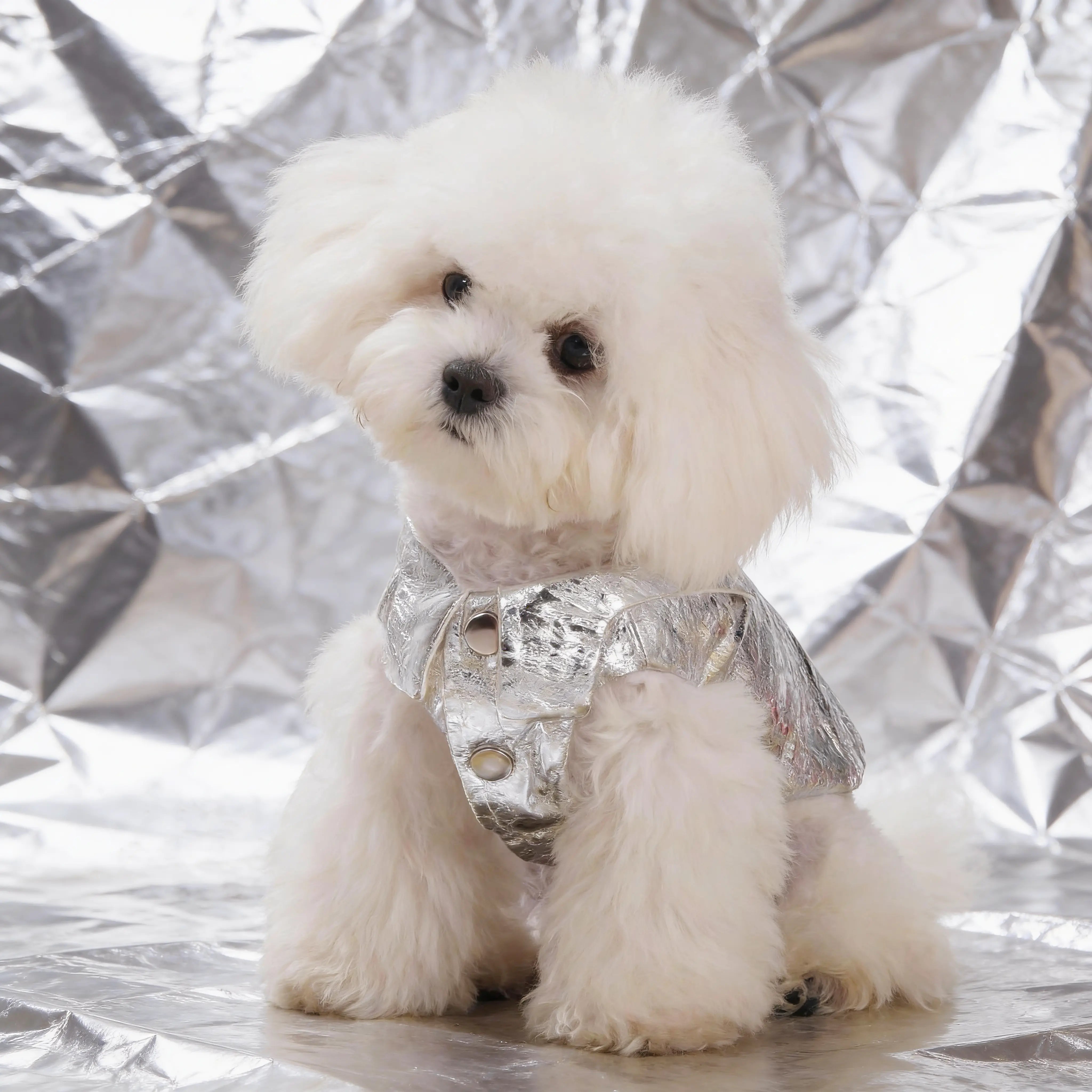 Foil Force Dog Coat