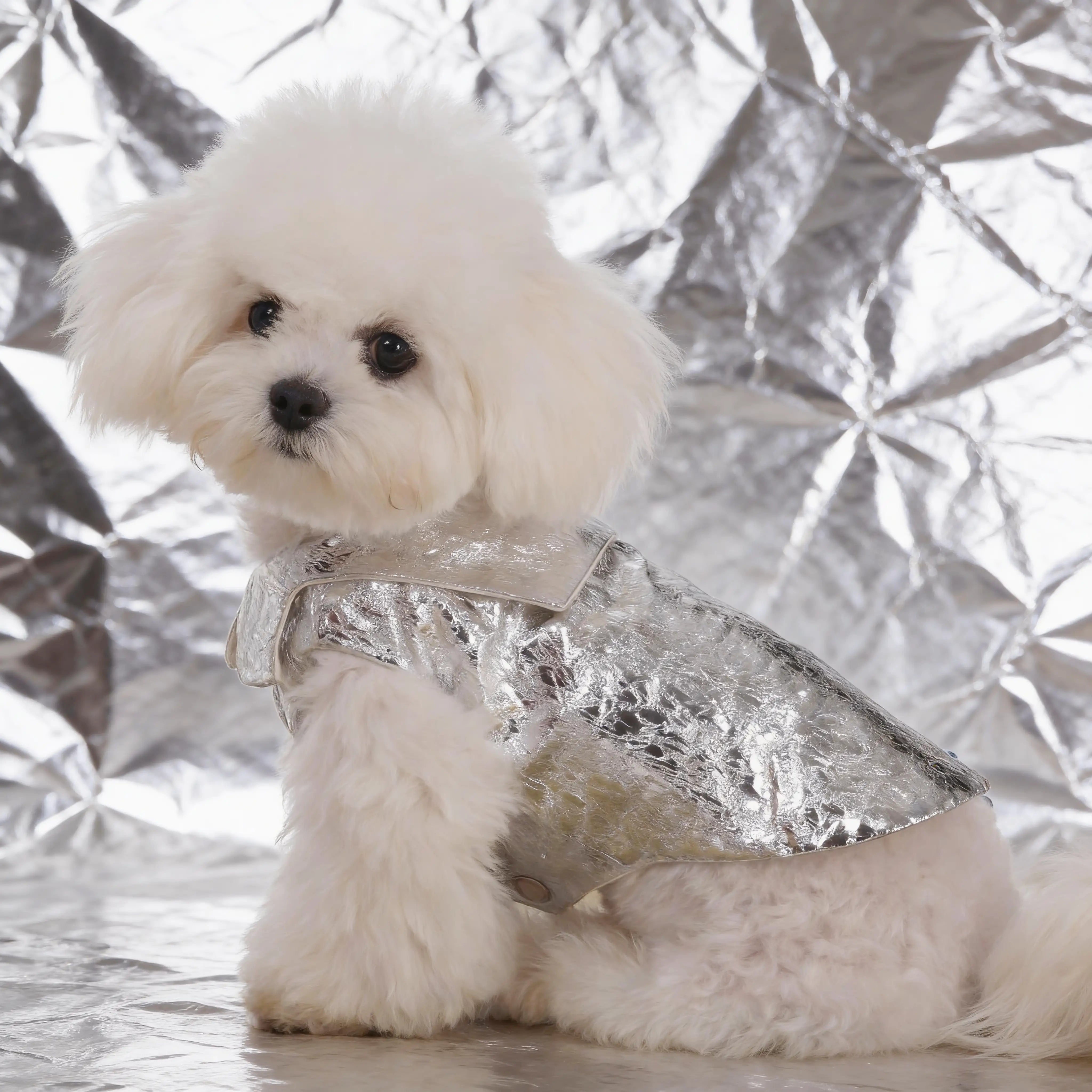 Foil Force Dog Coat
