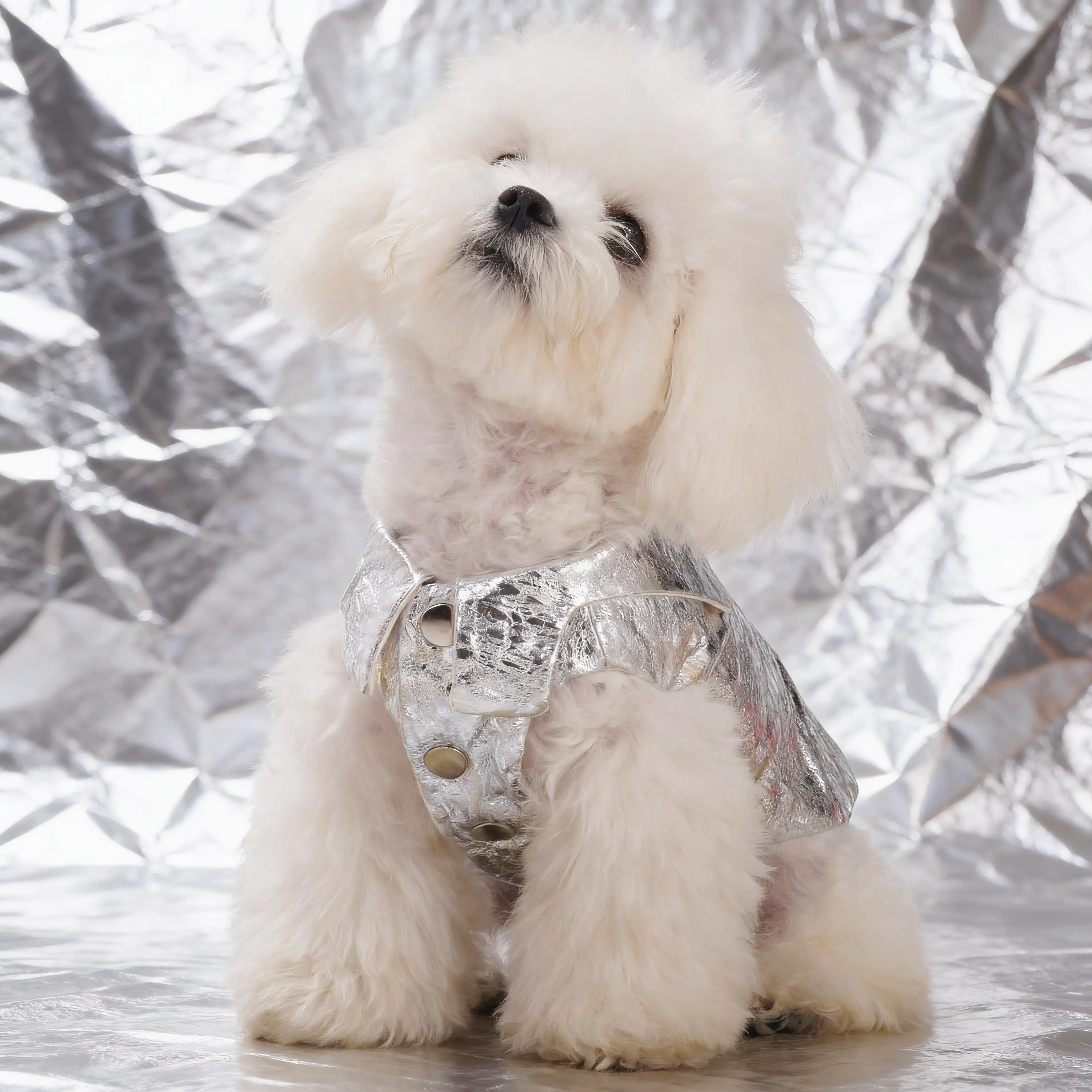 Foil Force Dog Coat