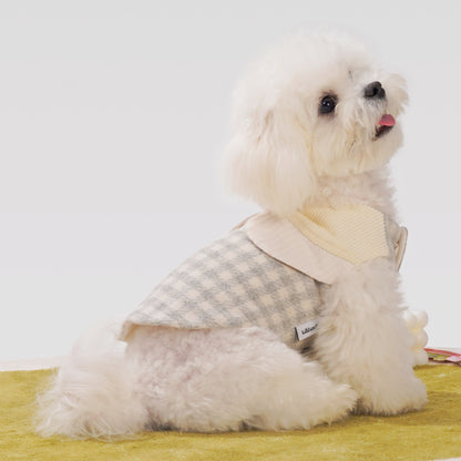 Tulle Casecade Dog Coat