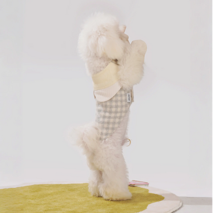 Tulle Casecade Dog Coat