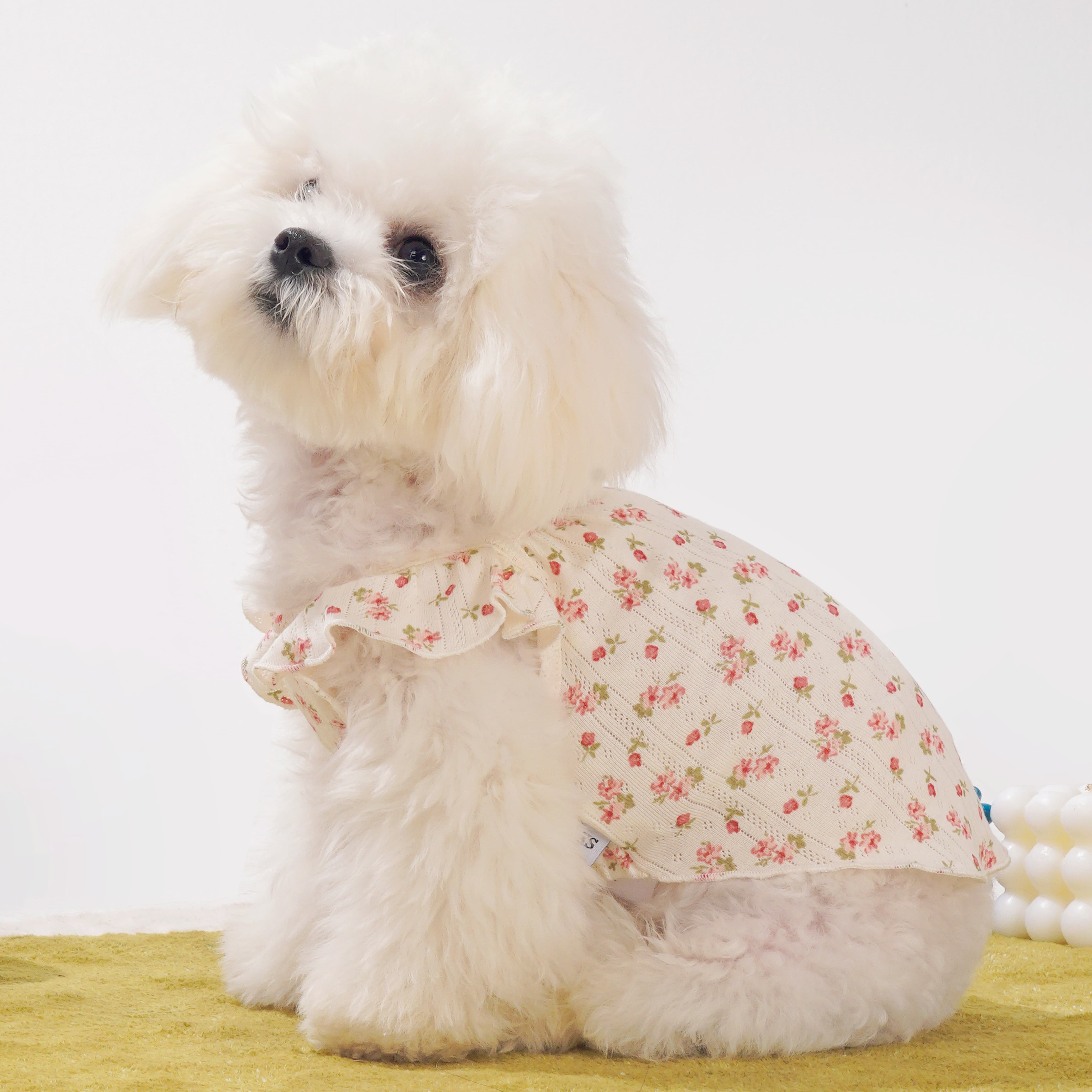 Flower Floral-Sleeve Dog Dress