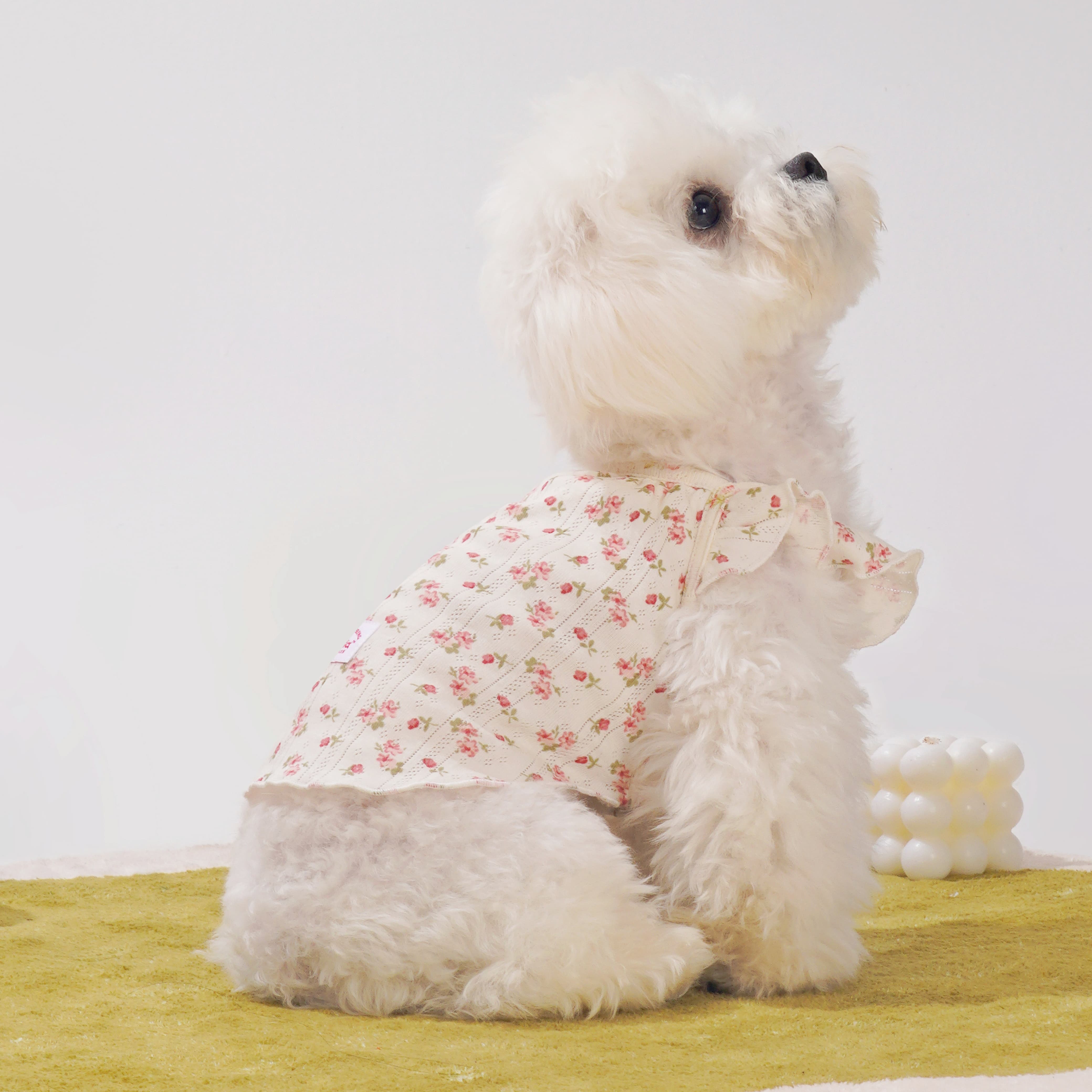 Flower Floral-Sleeve Dog Dress