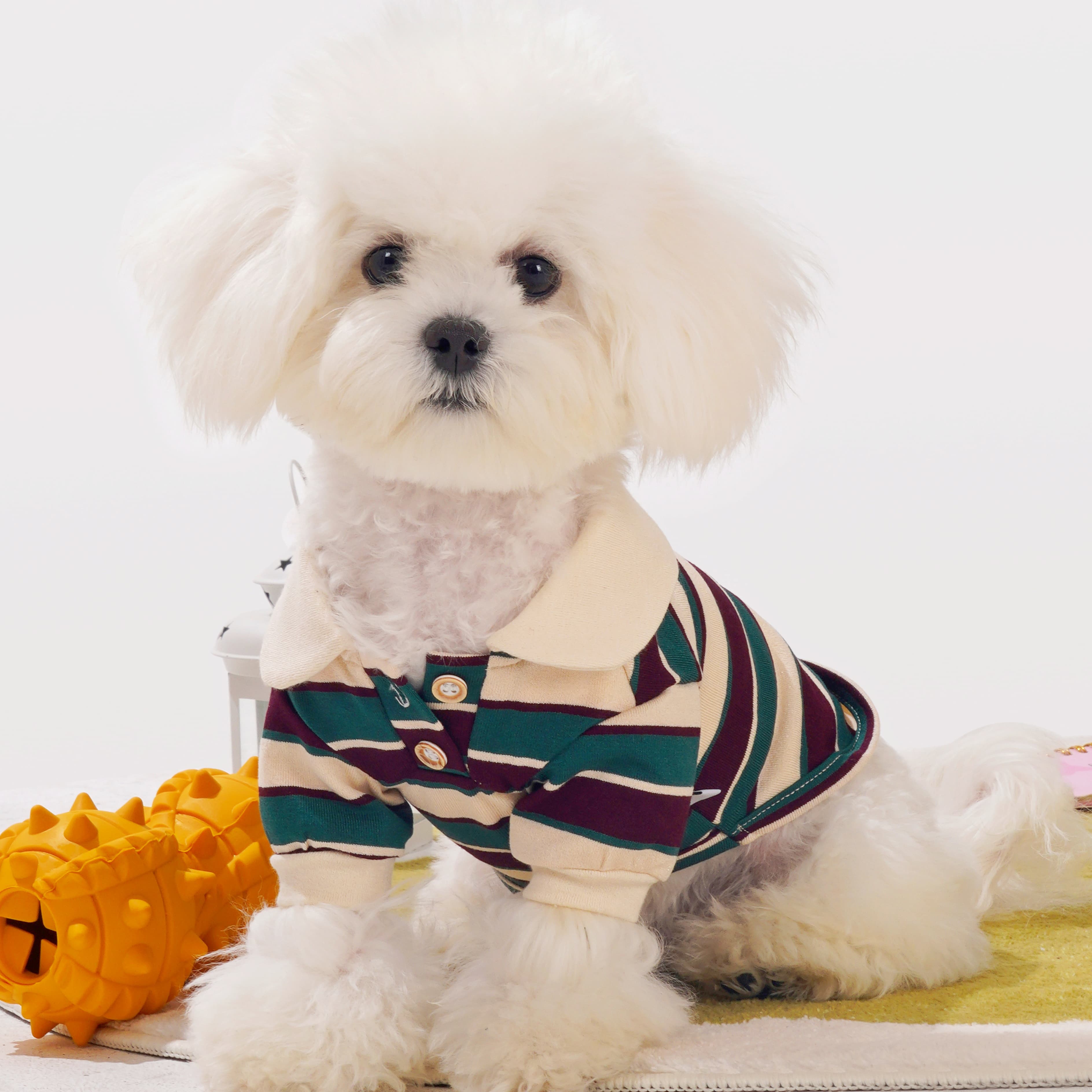 Muse Velvet Dog Polo Shirt (Green)