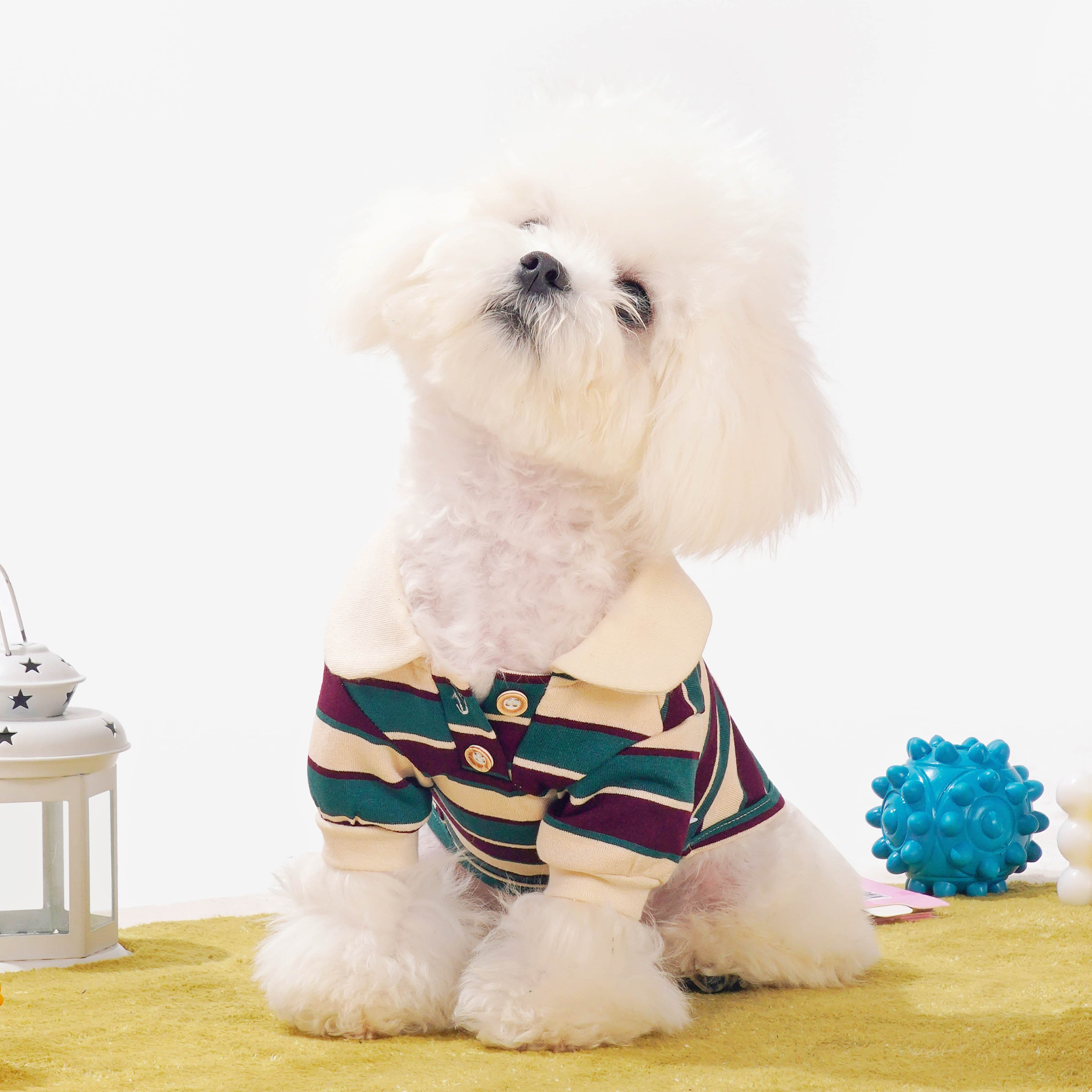 Muse Velvet Dog Polo Shirt (Green)