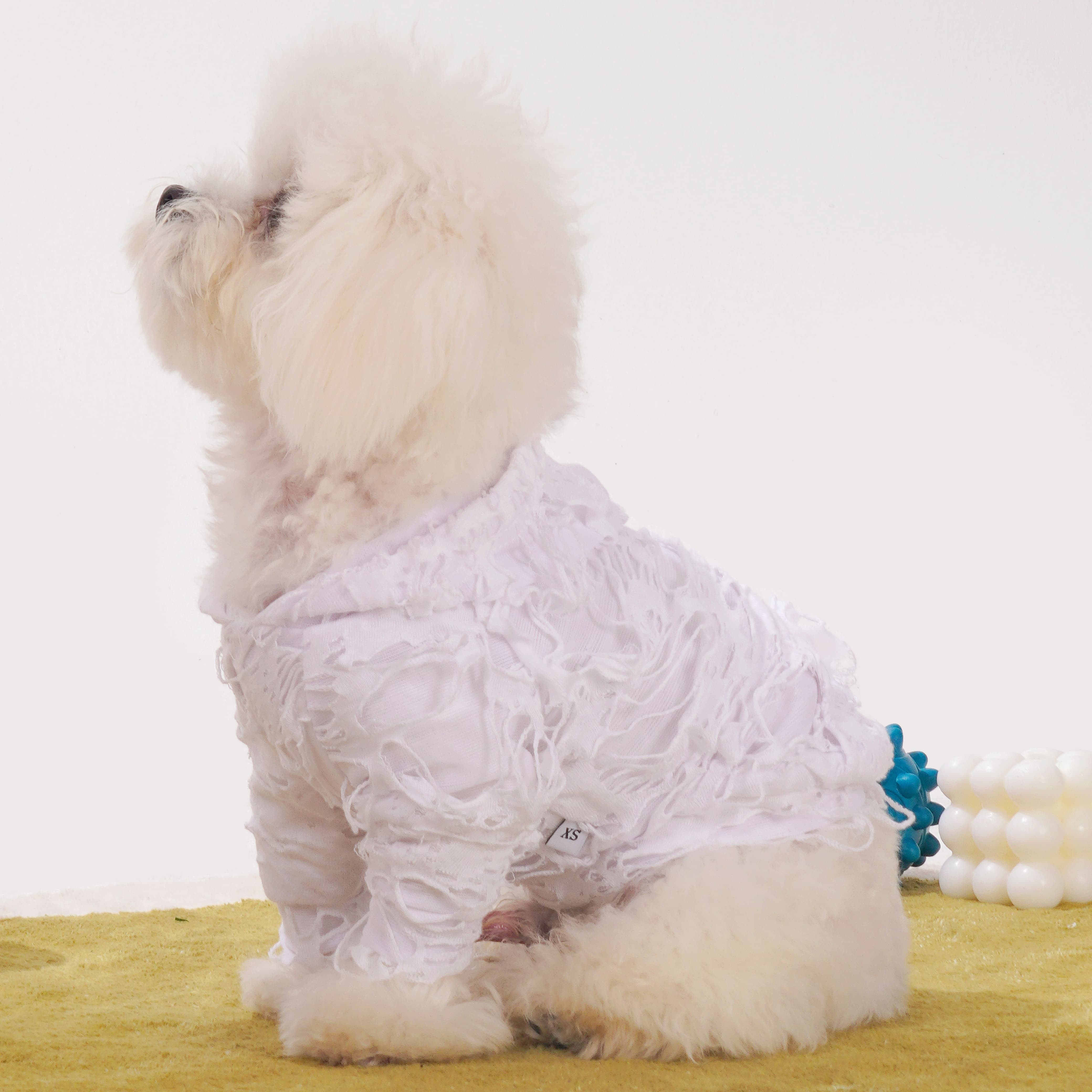 Unfinished Canvas Dog Hoodie