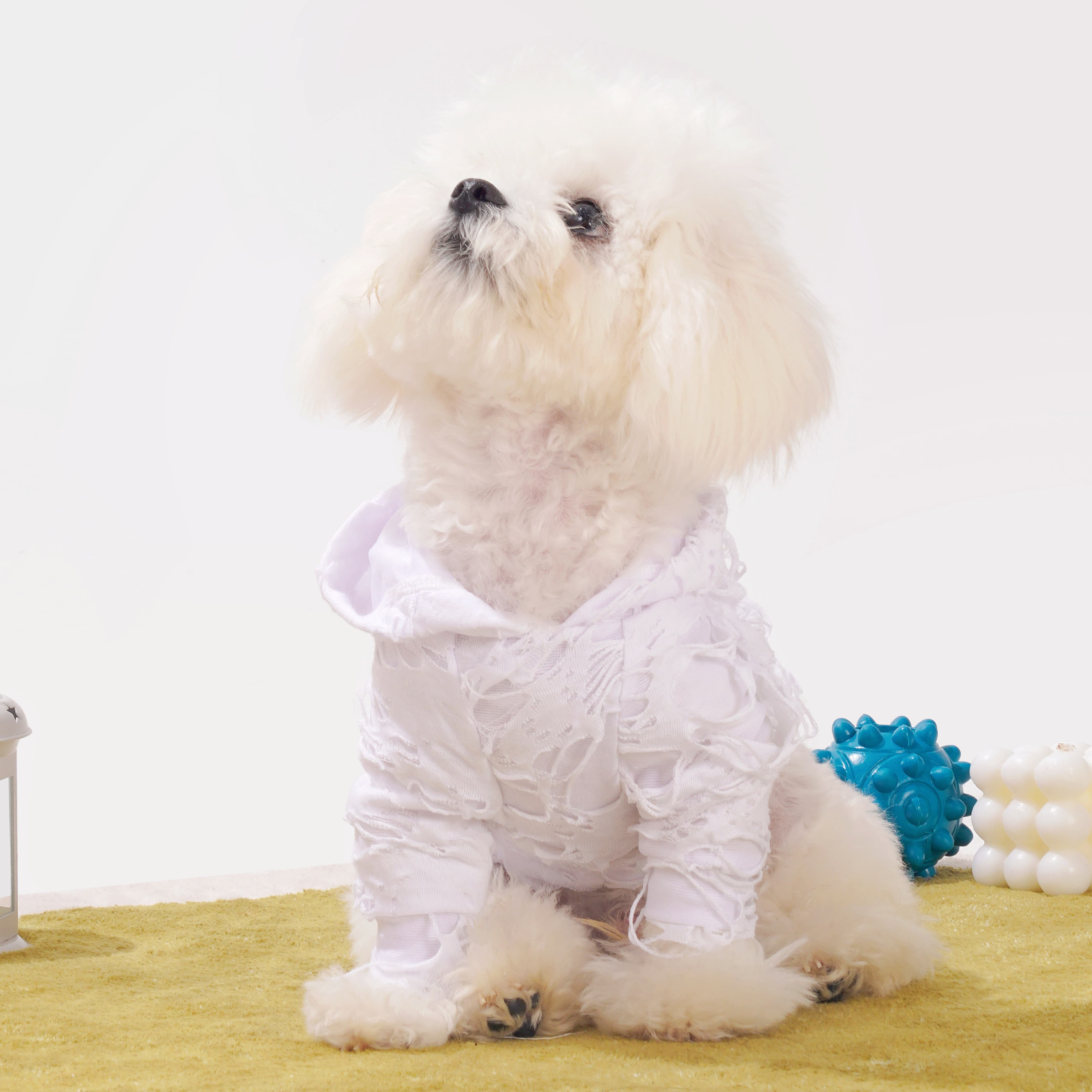 Unfinished Canvas Dog Hoodie