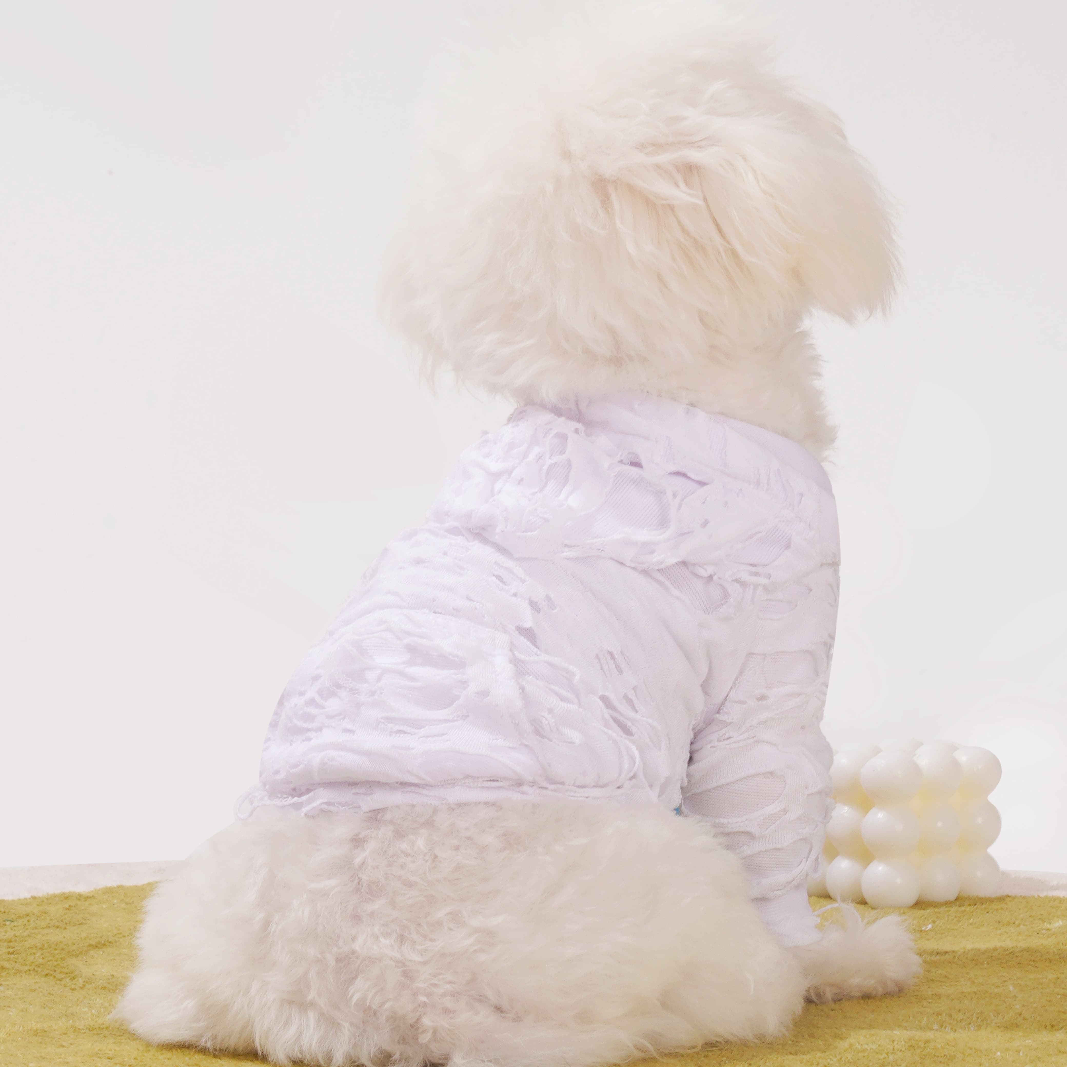 Unfinished Canvas Dog Hoodie